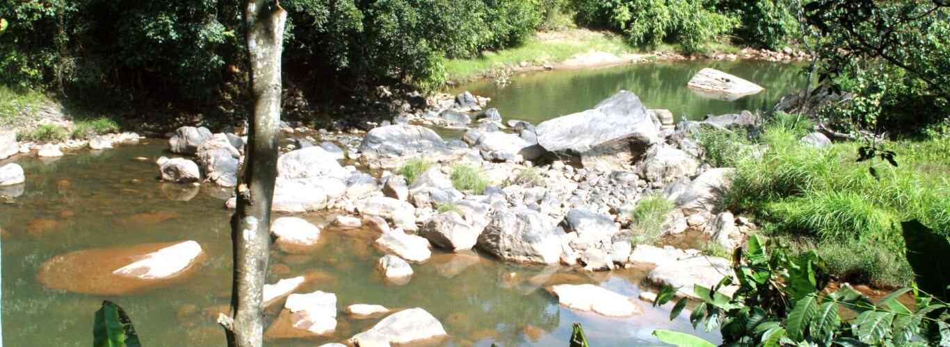 River Rock Homestay, Munnar- slider