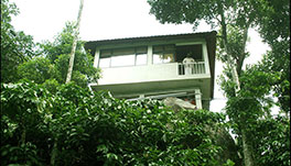 River Rock Homestay, Munnar- Front View-1