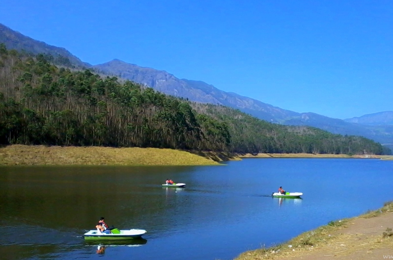 Echo Point, Munnar